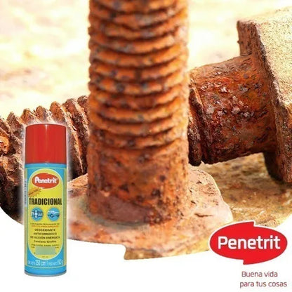 QUITASARRO Y OXIDO PROFESIONAL