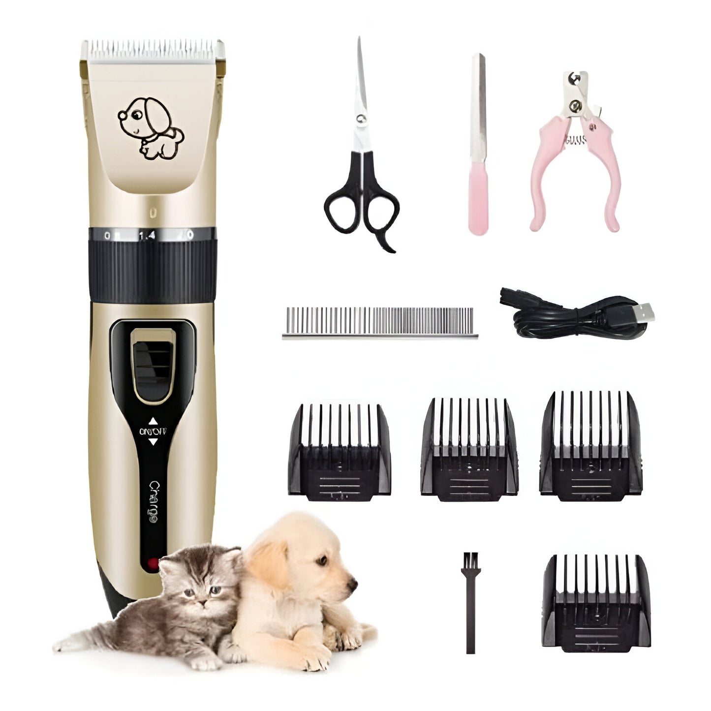 KIT DE MASCOTA PREMIUM (COMPLETO)